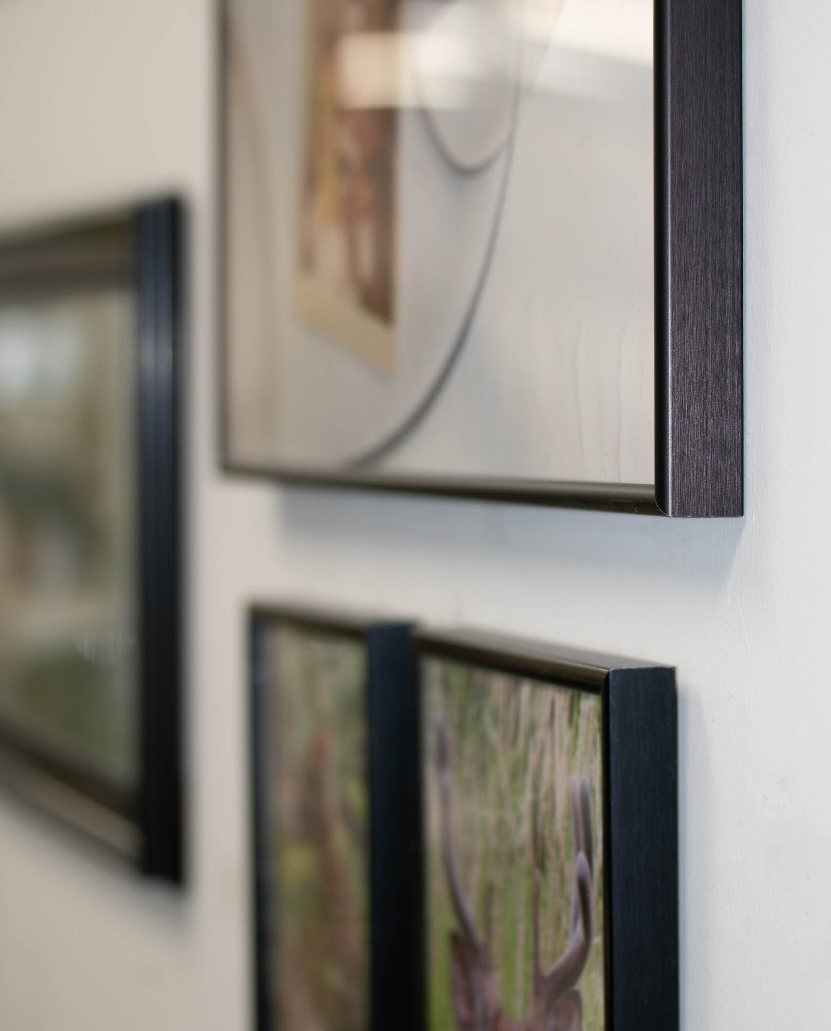 Frame closeup